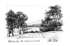 Club de Golf Alcanada | Tee 2th