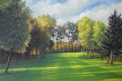 Golfanlage Uhlenberg-Reken 13th