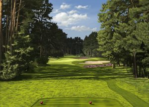 the golf painter - Burgdorf_17th
